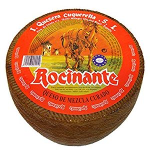 Rocinante